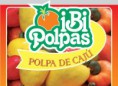 Polpas de Cajú